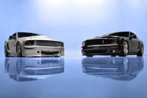 _two-mustangs